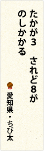 たかが3　されど8が　のしかかる　愛知県・ちび太