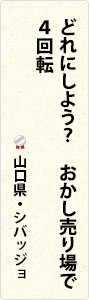 どれにしよう？　おかし売り場で　4回転　山口県・シバッジョ